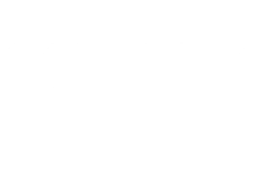 100% Optical 2027